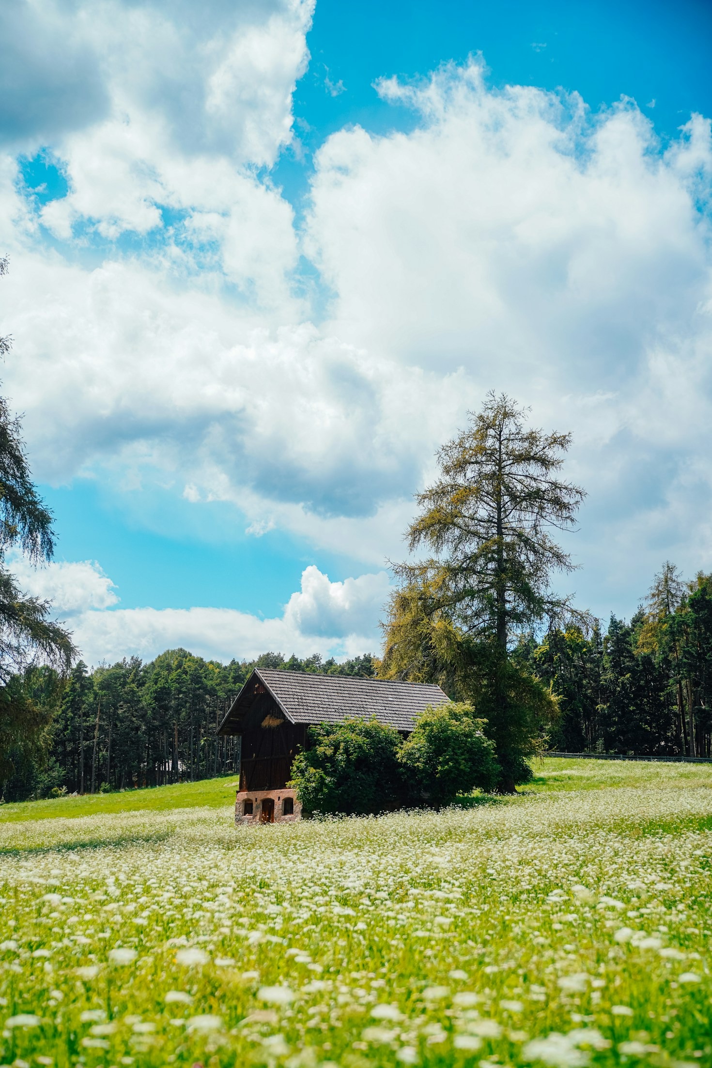 How to Make the Most of Your Forest Retreat